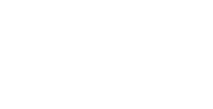 assfinet